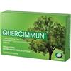 SCHARPER SpA QUERCIMMUN 30CPR RIV