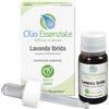 ERBORISTERIA MAGENTINA LAVANDA OLIO ESS 10ML