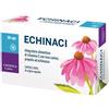 DOTT.C.CAGNOLA Srl ECHINACI 36CPS VEGETALI