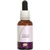 NATUR Srl RESCUE NIGHT S/ALC 10ML NATUR