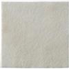 COLOPLAST SpA BIATAIN ALGINATE AG 10X10 10PZ