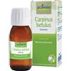 BOIRON Srl BO.CARPINUS BETULUS MG 60ML IN