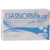 LAERBIUM PHARMA Srl GASNORM PLUS 36CPS 23,4G