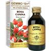 GIORGINI ROSA CANINA LIQ ANAL GEMMO 10+