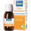 BOIRON ECHINACEA ANG ESTR IAL 60ML