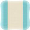 COLOPLAST SpA COMFEEL PLUS 10X10 10PZ
