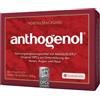 MASQUELIER'S ANTHOGENOL OPC MASQUELIER ANTHOGENOL90CPS