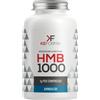AQUA VIVA Srl HMB 1000 100CPS 110G