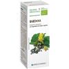 SPECCHIASOL Srl Specchiasol Soluzione Idroalcolica 1 Bardana, 50 ml