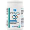LABORATOIRE NUTERGIA ERGYCARTIL FLEX 60CPS