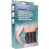 ALVITA FASCIA LOMBARE 2