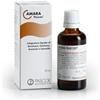 Named Pascoe Amara Integratore Alimentare 50 ml