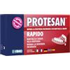 FIMO Srl PROTESAN-RAPIDO SET RIP DENT