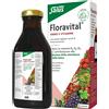 SALUS HAUS Gmbh & Co KG FLORAVITAL-FERRO S/GLUT 250ML