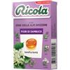 RICOLA AG RICOLA FIORI SAMBUCO S/ZUCC50G