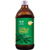SALUGEA (RELOAD Srl) Salugea Succo di Olivello Bio Integratore Ricostituente, 500ml