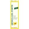 NATURWAREN ITALIA Srl THEISS ARNICA GEL FORTE 100ML