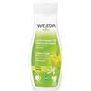 WELEDA ITALIA Srl CREMA FLUIDA IDRAT 24H LIMONE