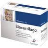 PARTENOPHARMA Srls BIOCARTILAGO BS