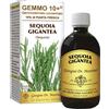 GIORGINI SEQUOIA 500ML ANALCO GEMMO 10+