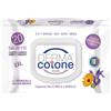 DA.MA. DISTRIBUZIONE Srl DERMACOTONE Salv.Strucc.20pz