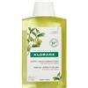 Klorane Shampoo Polpa Di Cedro Capelli Grassi 200ml