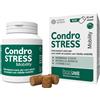 INNOVET ITALIA Srl CONDROSTRESS MOBILITY 60CHEWS