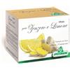 SPECCHIASOL Srl INFUSO TISANA ZENZ LIM 20FILT