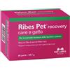 RIBES PET RECOVERY 60PRL