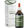 SPAZIO ECOSALUTE Srl MIX BILANCIATO CLARK CO