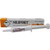 SILIFORT PASTA OS SIRINGA 15G