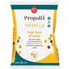 ERBA VITA Propoli EVSP - Caramelle Gusto Menta e Eucalipto, 65g