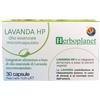 HERBOPLANET Srl LAVANDA HP 30CPS