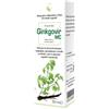 CAIRA LABORATORIO ERB. SA. Srl MACERATO GINKGOVIR 50ML