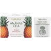 ERBAMEA Ananas Cell - Tisana Biologica Integratore per Inestetismi della Cellulite, 20 Buste