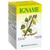 SPECCHIASOL IGNAME ERBE 60TAV SPECCH