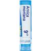 BOIRON ARNICA 9CH GR 4G