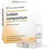 GUNA LEDUM COMP 10FL HEEL