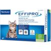 EFFIPRO*SPOTON 4PIP GATTO