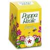 GRICAR CHEMICAL Srl soc. unico PAPPA REALE FRESCA 10G
