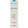 BRADERM Srl BRADERM HIDRANUR 200ML