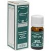 DECA LABORATORIO CHIMICO Srl DEFLUOR GTT 10ML