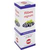 KOS RIBES NIGRUM MG 100ML GTT KOS