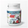 BIOEQUIPE Condrob360 Best Glucosamina Condroitina Integratori articolazioni cani Condroprotettore con condroitina glucosamina alto dosaggio 6 mesi- Supporto Articolazioni, Cartilagini e Ossa - antifiammazioni