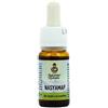 MAHARISHI AYURVEDA Nasyamap Olio Eutrofico ed Emolliente 10 ml