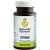 MAHARISHI AYURVEDA Lipomap 120 compresse