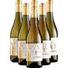 HOFSTATTER De Vite IGT Hofstatter 2019 Offerta Vini Trentino Promo 6 Bottiglie