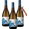 Sicilia Bedda - FAZIO VINI - Vino Bianco Prodotto a Erice - IDEA REGALO (ANIMA SOLIS Zibibbo e Catarratto, 3 Bottiglie con Apribottiglia)