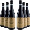 Cordero di Montezemolo 6 Bottiglie Vino Rosso Dolcetto D'alba, Biologico