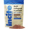 Incite Nutrition Collagene Marino 1200mg | Integratori di capsule di collagene ad alta resistenza per collagene marino idrolizzato di tipo 1 puro superiore unisex, 120 pezzi (confezione da 1)